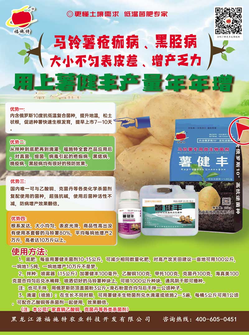 4马铃薯技术海报22.jpg