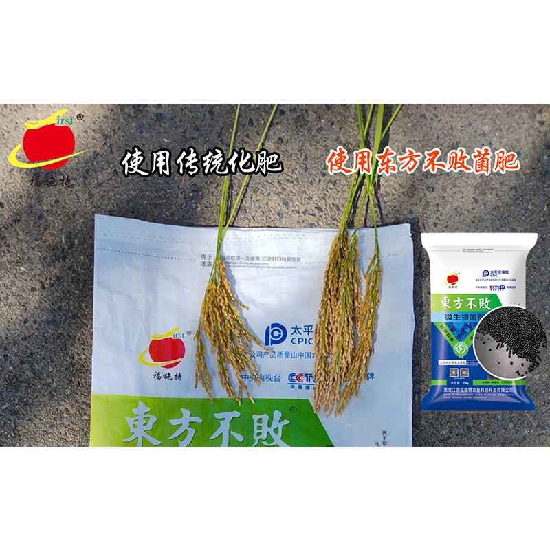 水稻对比图
