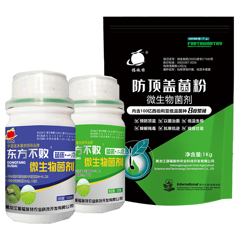 白山苗床组合