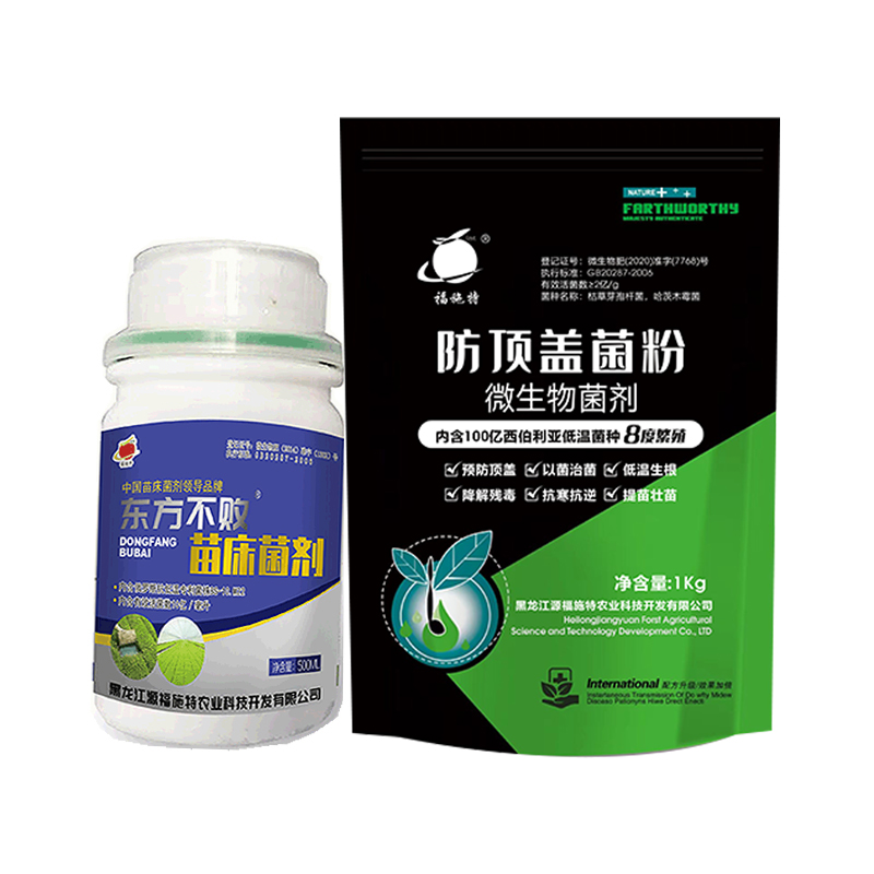 东方不败硬汉组合